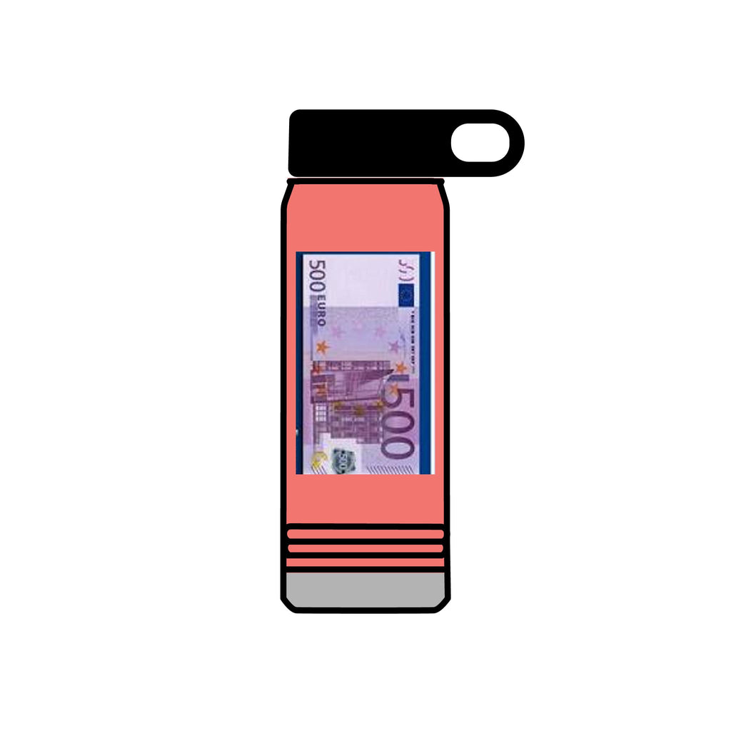 500 Euro Banknote Water Bottle | Money Novelty Thermos, 20oz