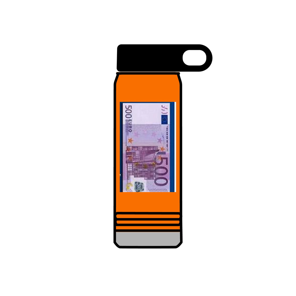 500 Euro Banknote Water Bottle | Money Novelty Thermos, 20oz