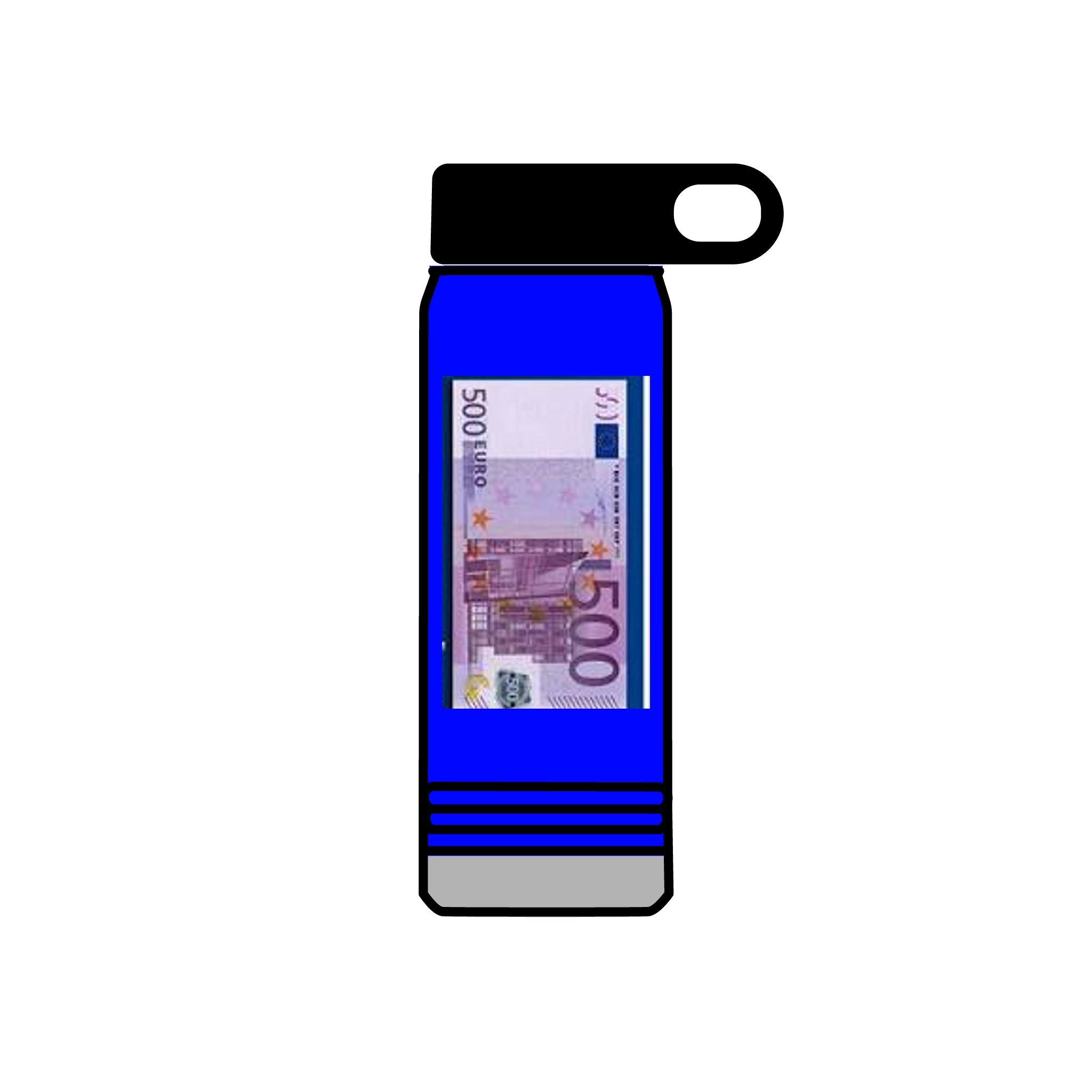 500 Euro Banknote Water Bottle | Money Novelty Thermos, 20oz