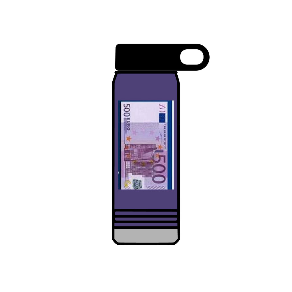 500 Euro Banknote Water Bottle | Money Novelty Thermos, 20oz