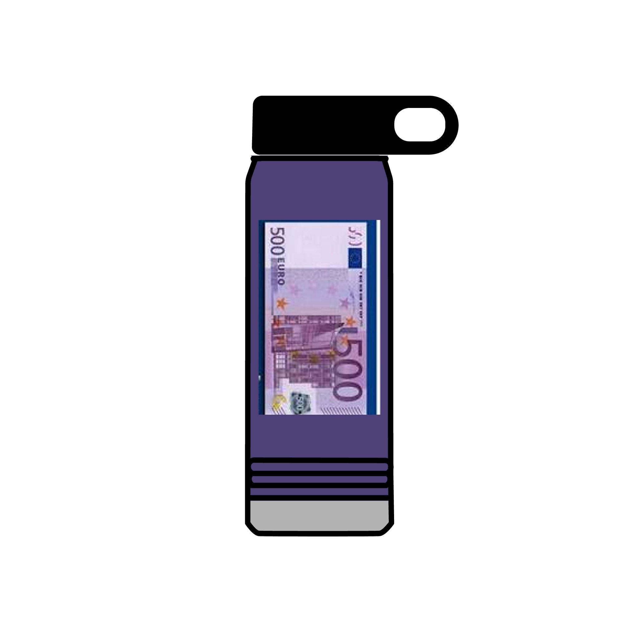 500 Euro Banknote Water Bottle | Money Novelty Thermos, 20oz