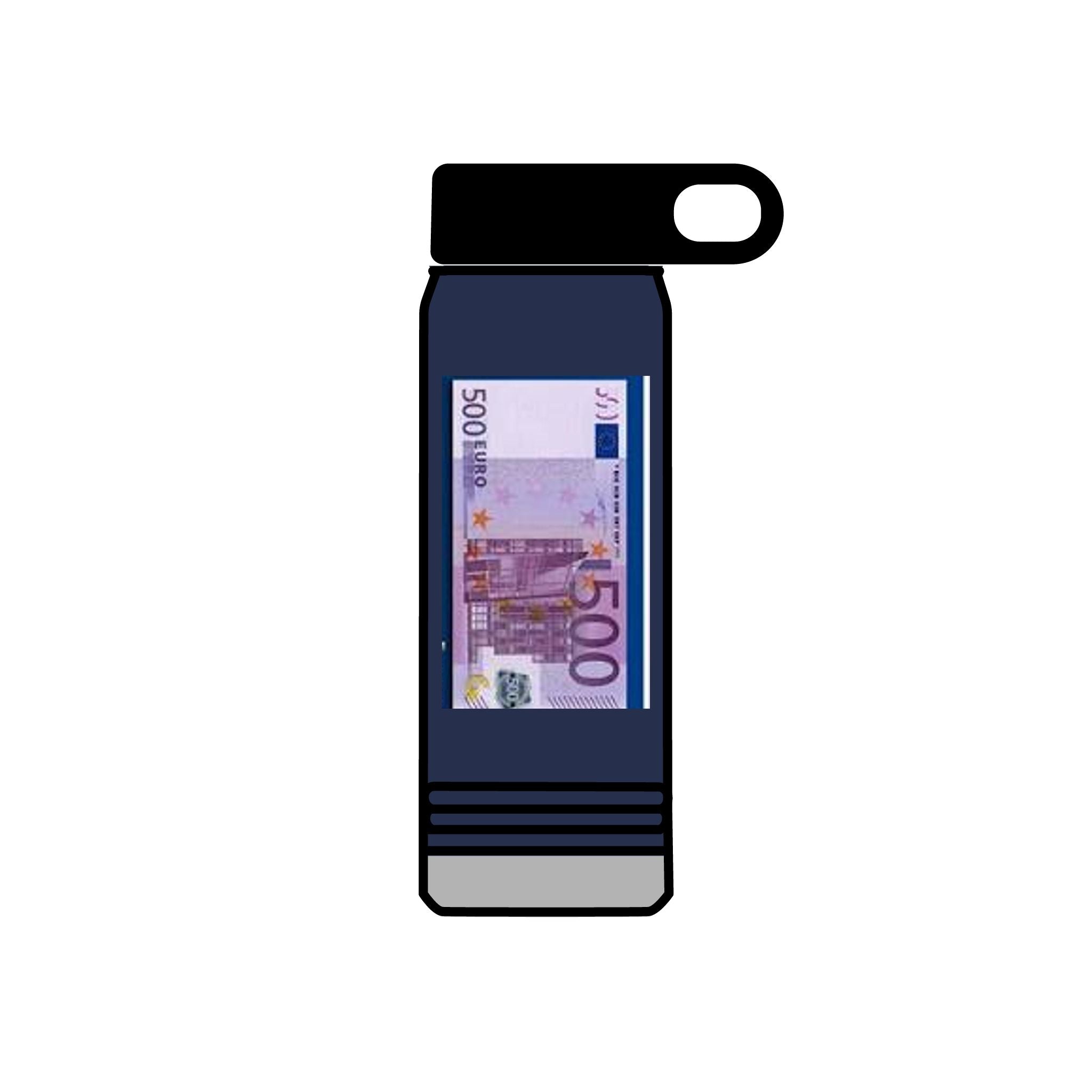500 Euro Banknote Water Bottle | Money Novelty Thermos, 20oz