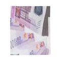 Millionaire Velveteen Plush Blanket