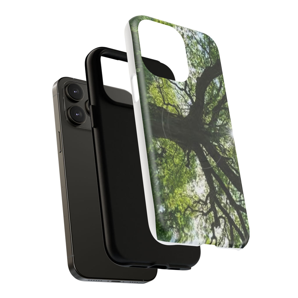 Sunlit Oak Tree Phone Case | Tough Magnetic Case