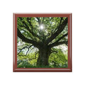 Sunlit Oak Tree Jewelry Box | Nature Woodland Keepsake
