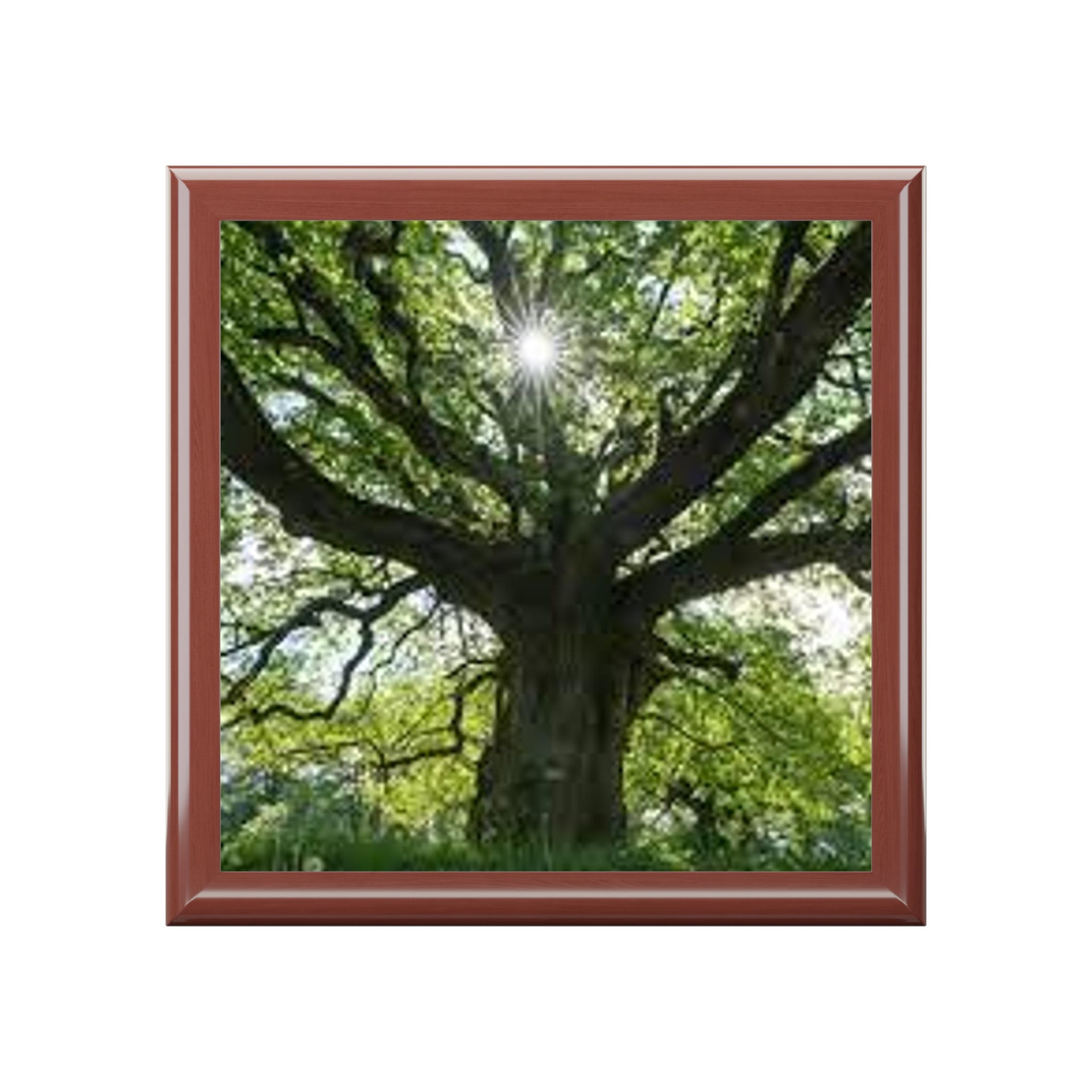 Sunlit Oak Tree Jewelry Box | Nature Woodland Keepsake