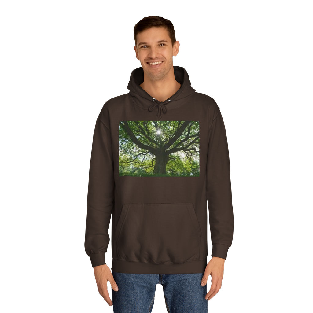 Sunlit Oak Tree Hoodie | Forest Nature Photography, Green Tree Sweatshirt