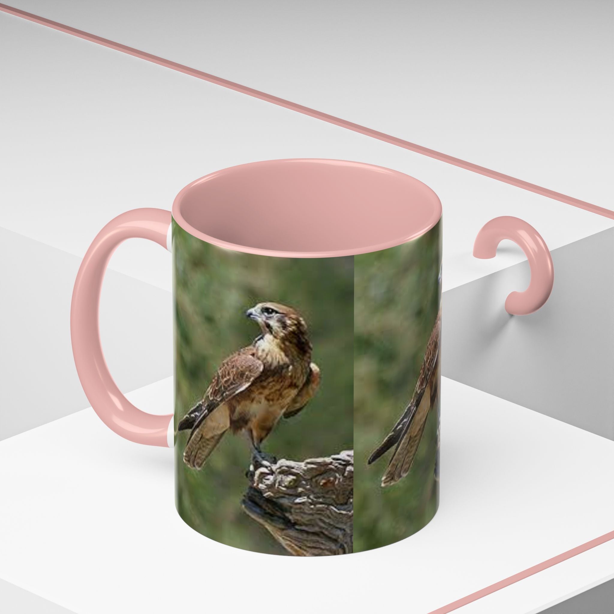Kestrel Falcon Photo Mug | Accent Coffee Mug 11oz 15oz
