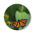 Monarch Butterfly Ceramic Coaster | Butterfly Nature Drink Mat