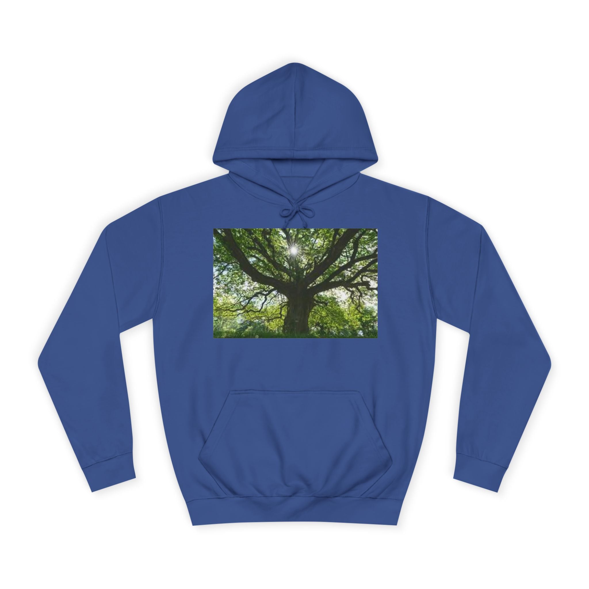 Sunlit Oak Tree Hoodie | Forest Nature Photography, Green Tree Sweatshirt
